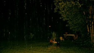 "Rain Sounds" with No Music 10hrs "Sleep Sounds" ASMR