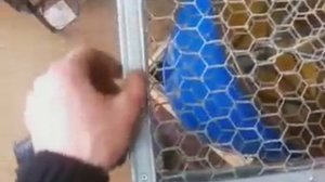 Пчеловодство! Медогонка своими рукками
