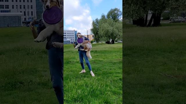 АО Райда - дог-кетч