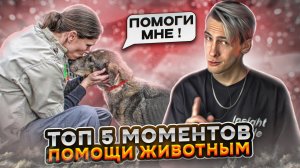 ТОП 5 МОМЕНТОВ БЕСКОРЫСТНОЙ ПОМОЩИ ЖИВОТНЫМ, СНЯТЫЕ НА КАМЕРУ!