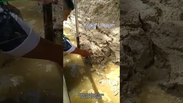 RIVIX RV330 Pancing Udang Galah Video Shared by PokSu Klate Inflatable Boat 3.3meter смотреть онлайн