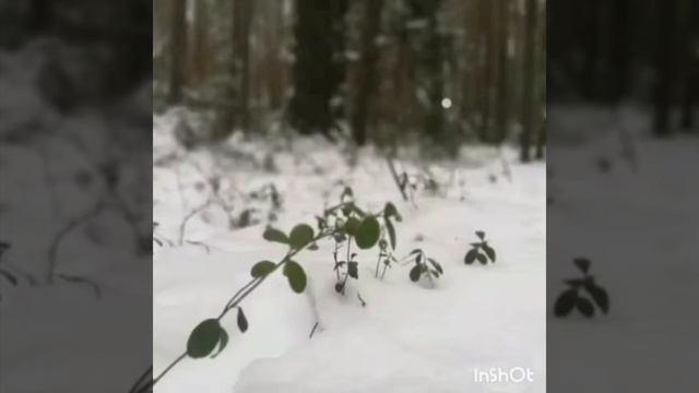 Зимняя сказка в Ленске.❄☃️ смотреть онлайн