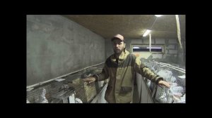Как Вовка Сибиряк за кроликами ездил....