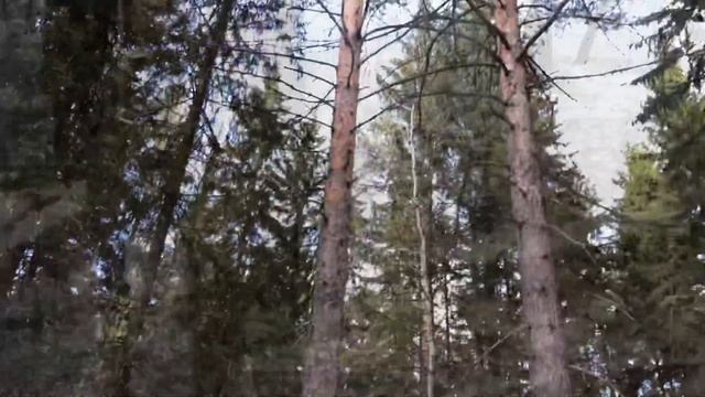 Самоизоляция челендж в Сыктывкаре смотреть онлайн