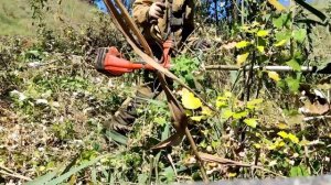 Кусторез в деле.