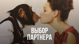 Виктория Дубинская «Выбор партнера»