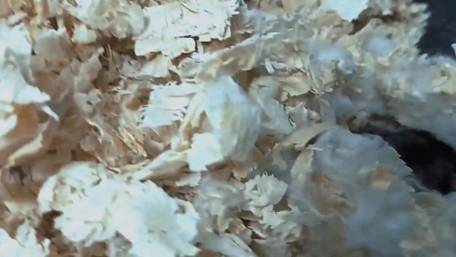 Ирина Хакамада: Послушайте МОЮ ПРАВДУ! Что произошло? И ЧТО теперь делать? Новое видео ноябрь 2023
