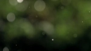 Старшую сестру с Днем рождения !