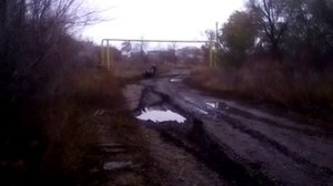 Осень, грязь, за дровами на мопеде альфа 110 с самодельным боковым прицепом