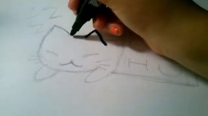 Как нарисовать мультяшного котика