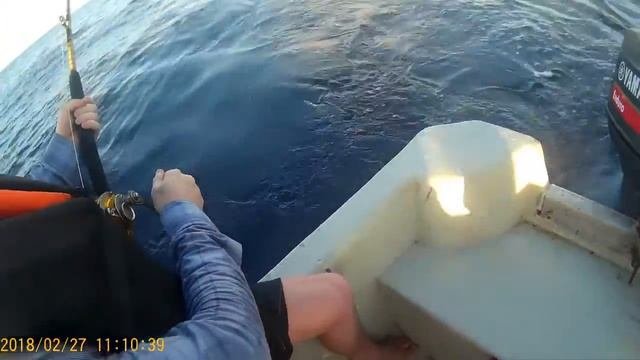 Морская рыбалка на Занзибаре