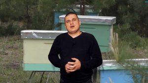 Приглашение на канал по пчеловодству Баскевич Андрея