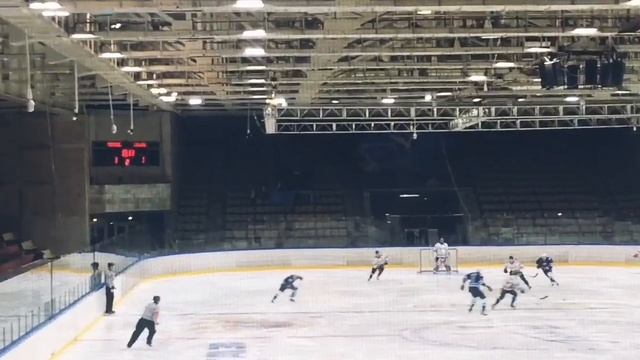 VLOG // Перекрасила волосы? // Гуляем с собакой... смотреть онлайн