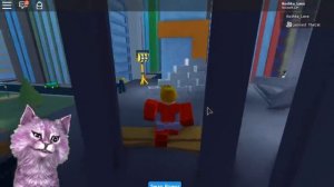 СИМУЛЯТОР СУПЕРГЕРОЯ В РОБЛОКС Heroes of Robloxia КОШКА ЛАНА И КОТ ЛЕОНАРД играют