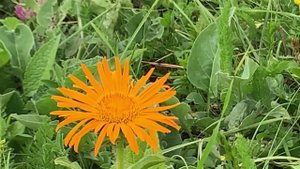 Одни с семьей в горах 2023