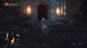 Dark Souls 3 Ring of Steel Protection +1 | Кольцо стальной защиты +1 (NG+)