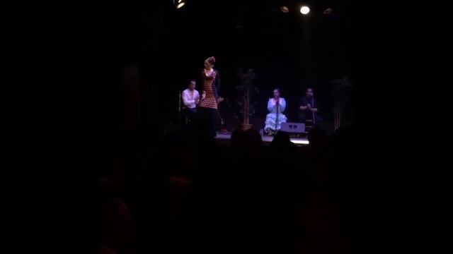 FLAMENCO SHOWS P.3 IN CITY HALL #BARCELONA - #SPAIN #liveshow #flamenco смотреть онлайн