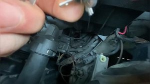Заміна лампочки ближнього світла. Як замінити лампочку самому на пасат б6?