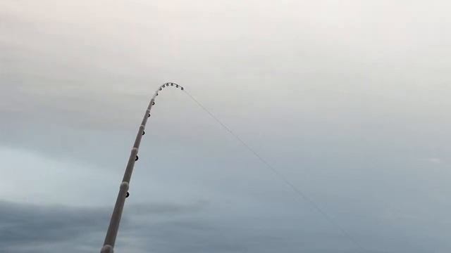 Жарю пойманную свежую рыбу онлайн на берегу озера после рыбалки на матчевую поплавочную удочку! смотреть онлайн