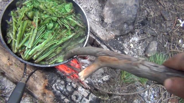 папоротник рецепты приготовления в тайге папоротник орляк страусник вкусный рецепт сырой папоротник