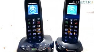 Motorola C5012: видео обзор радиотелефона DECT с двумя трубками