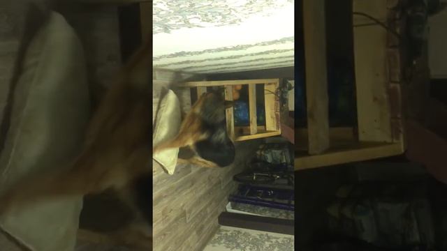 26 января 2019 г. смотреть онлайн