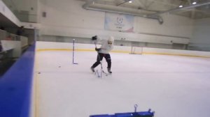 TSP Тренажер многофункциональный HOCKEY TRAINER