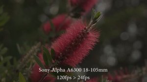 Sony a6300 18-105mm test footage