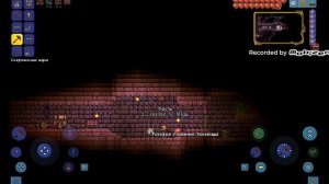И изучение подземелья Скелетрона в Terraria.