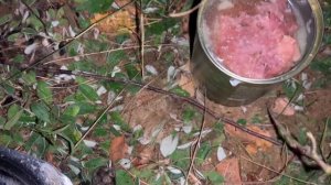 ГОВЯДИНА АРМЕЙСКАЯ - МОЛОДЕЧНЕНСКИЙ МЯСОКОМБИНАТ - ВЕЛЕС-МИТ