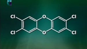 Что такое диоксины?