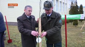 В Злынке Брянской области высадили "Аллею памяти"