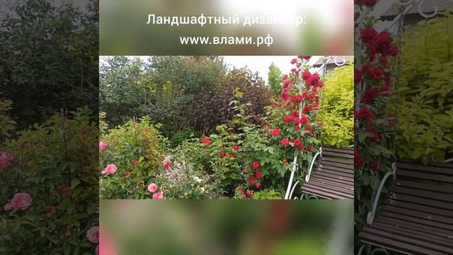 Красивые дачи: дача в стиле Прованс. Поцелуй роз!!!
