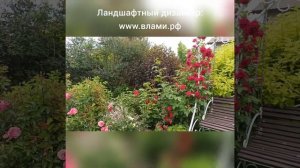 Красивые дачи: дача в стиле Прованс. Поцелуй роз!!!