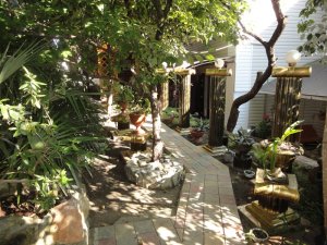 Отдых в Лазаревской жилье в частном секторе цены без посредников недорого. «Тропикано» гостевой дом