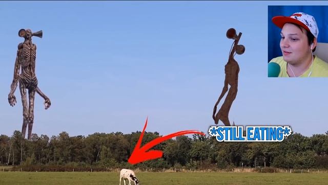 ?Топ 10 СИРЕНОГОЛОВЫЙ снятый на КАМЕРУ! СИРЕНОГОЛОВЫЙ ВСТРЕТИЛ СВОЕГО ВРАГА! смотреть онлайн