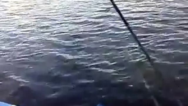 Рыбацкие курсы смотреть онлайн