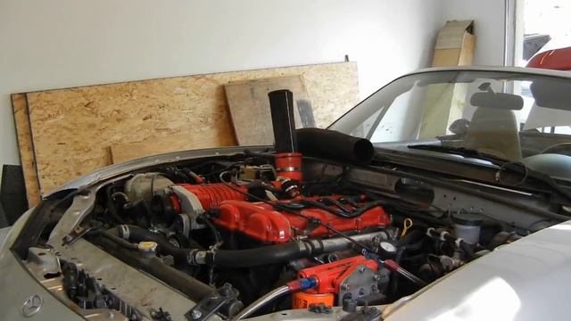 She's Alive!!!!!.MOV смотреть онлайн