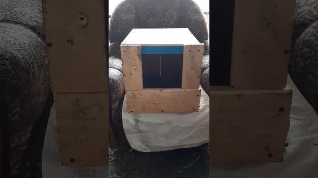 Маточник для крольчат. Место окрола самок кроликов,крольчих,кроликов. Размеры смотреть онлайн