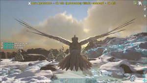 АРК - Причёски в арк