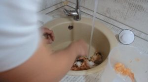 А справиться ли WASTE FIGHTER F-52 Premium compact с креветками?