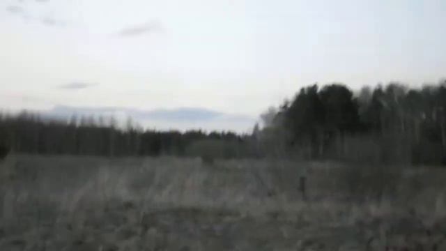 Курцхаар Райт смотреть онлайн