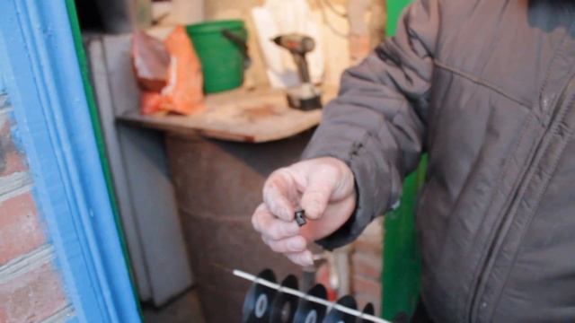 Как отпугнуть воробьёв? Гуманный метод