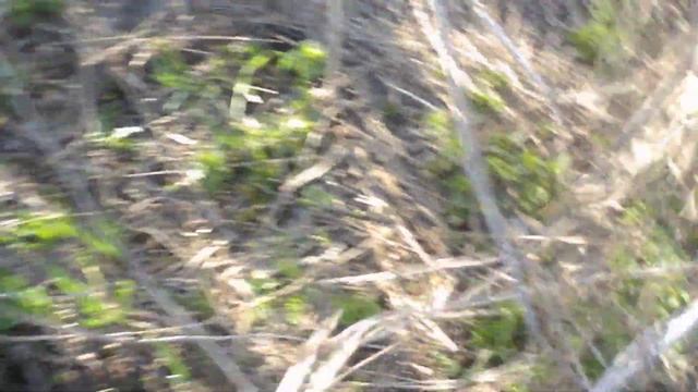 подножный корм 27 марта 2020 в Беловодске смотреть онлайн