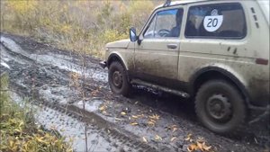 сгнива на резаных вли-5