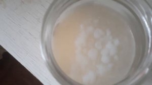 Грибок с нуля на рисовом настое,зародился?!