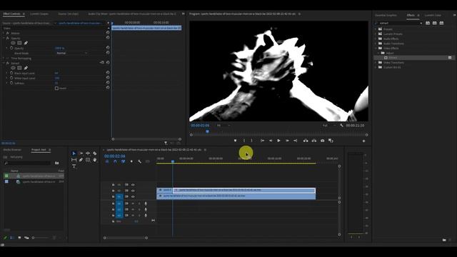 How To Add A Lightning Effect To Video In Premiere Pro