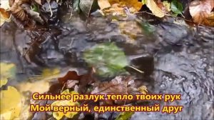 Осенние листья шумят и шумят в саду