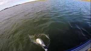 Рыбалка на Каме Удмуртия 2018