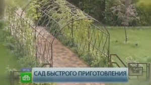 Частный ландшафтный дизайн. Частный ландшафтный дизайн Илья Васецкий..mp4